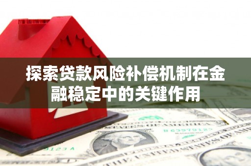 图们探索贷款风险补偿机制在金融稳定中的关键作用