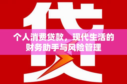 图们个人消费贷款，现代生活的财务助手与风险管理
