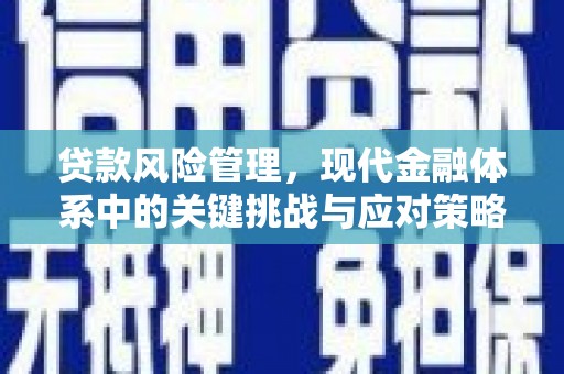图们贷款风险管理，现代金融体系中的关键挑战与应对策略