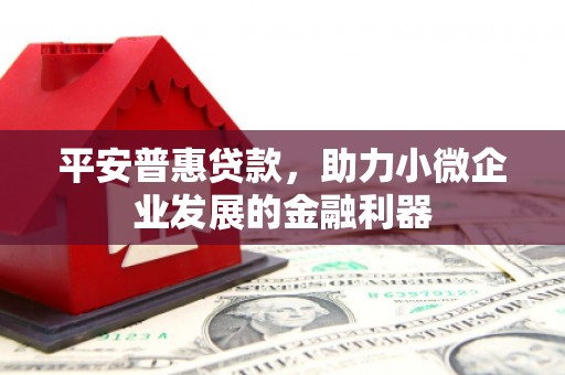 图们平安普惠贷款，助力小微企业发展的金融利器