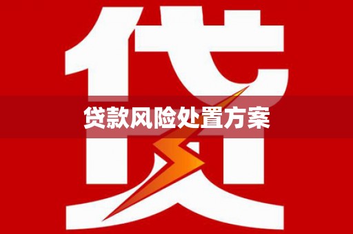 图们贷款风险处置方案