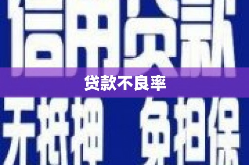 图们贷款不良率