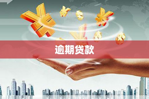 图们逾期贷款