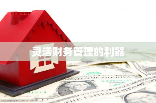 图们灵活财务管理的利器