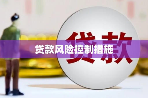 图们贷款风险控制措施