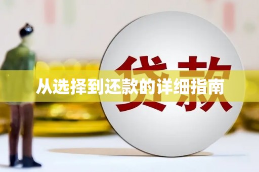 图们从选择到还款的详细指南
