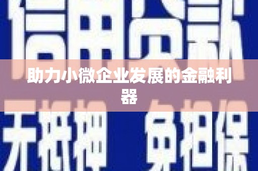 图们助力小微企业发展的金融利器