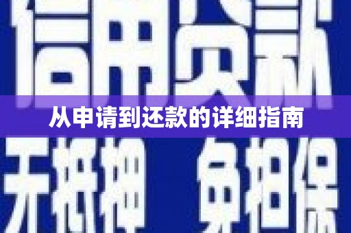 图们从申请到还款的详细指南