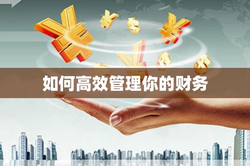 图们如何高效管理你的财务