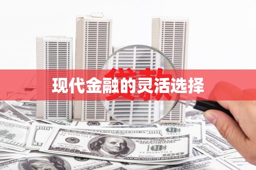 图们现代金融的灵活选择