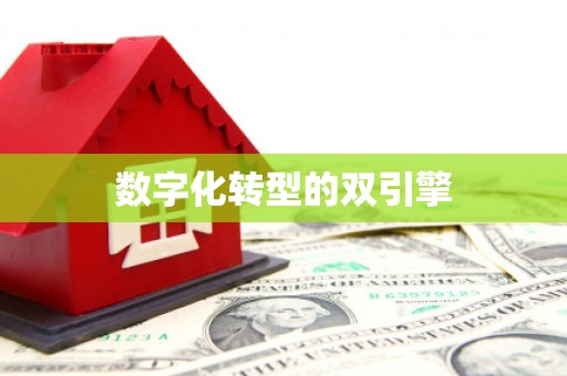 图们数字化转型的双引擎