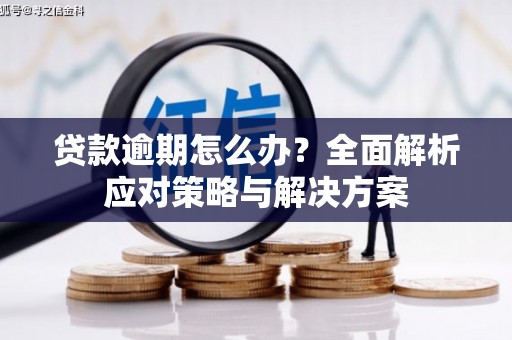 图们贷款逾期怎么办？全面解析应对策略与解决方案