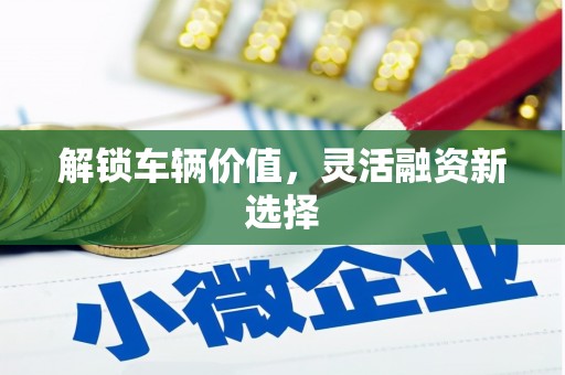 图们解锁车辆价值，灵活融资新选择