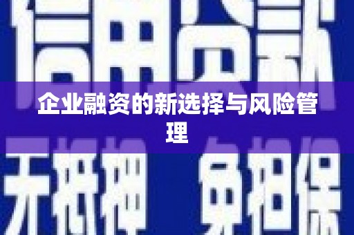 图们企业融资的新选择与风险管理