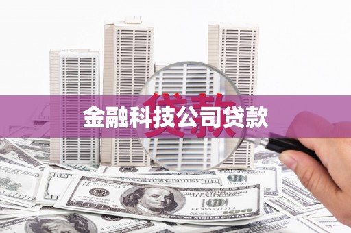 图们金融科技公司贷款