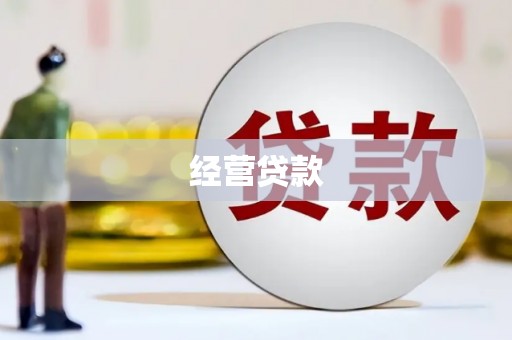 图们经营贷款