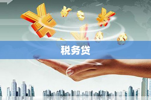 图们税务贷